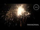 PARANORMAL | Evolution Fireworks