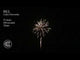 BILL & BEN (Bundle) | Celtic Fireworks