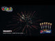 Velocity Rockets (5 Rocket Pack) | Evolution Fireworks